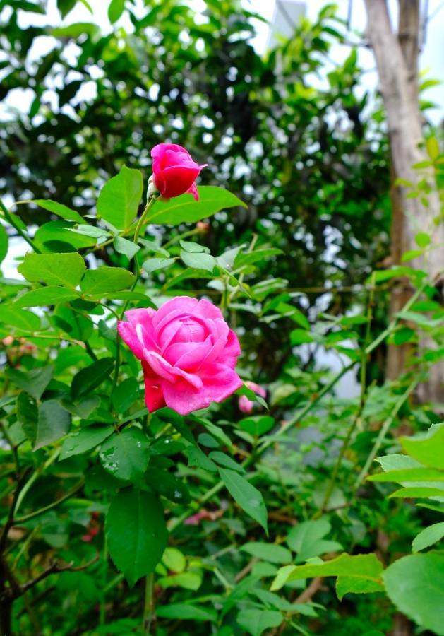 Plei Homestay & Cafe Pleiku Bagian luar foto