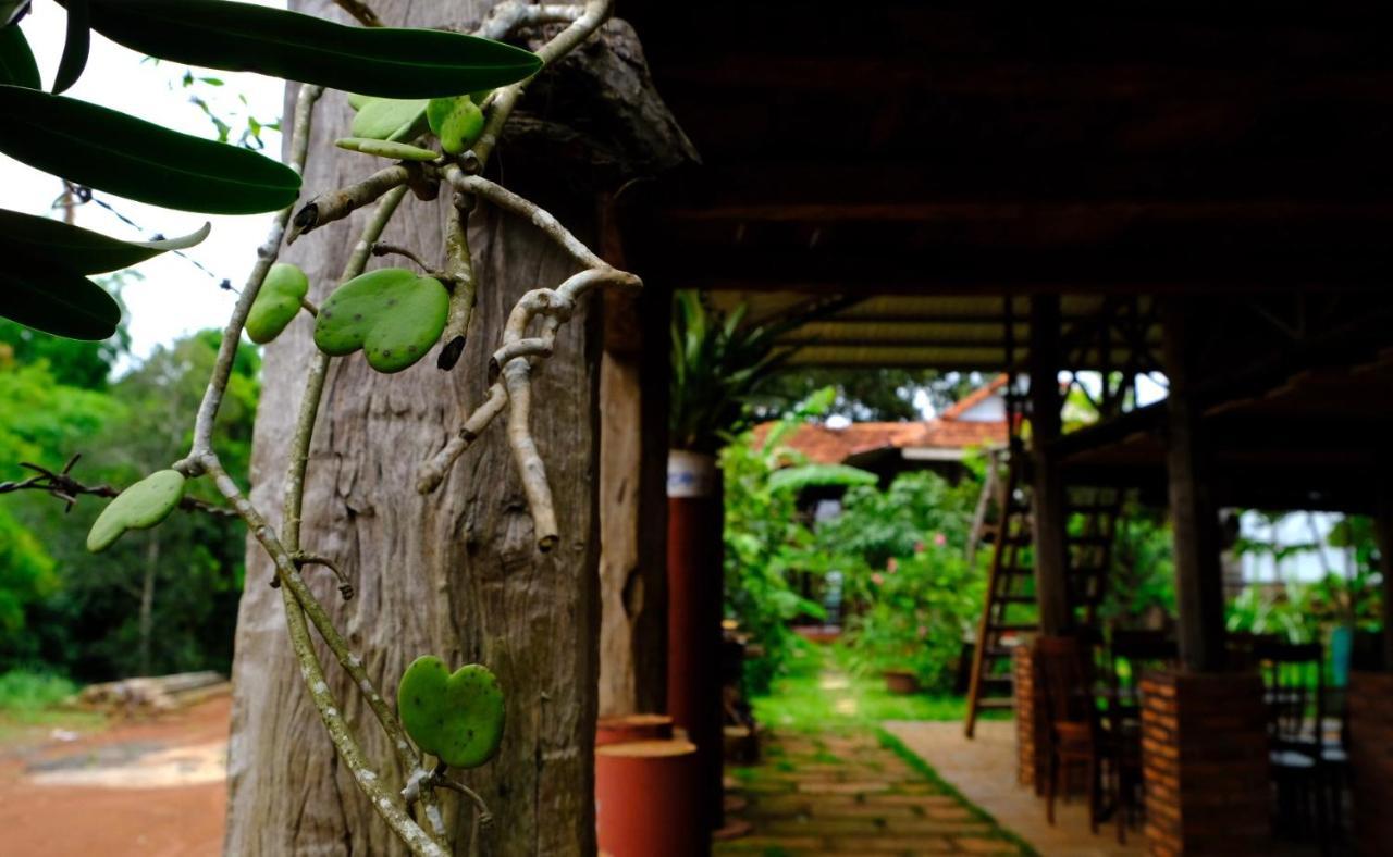 Plei Homestay & Cafe Pleiku Bagian luar foto