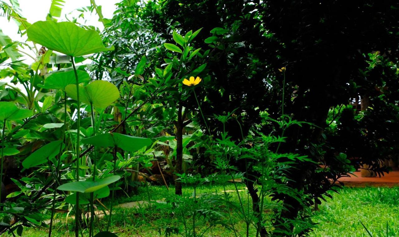 Plei Homestay & Cafe Pleiku Bagian luar foto